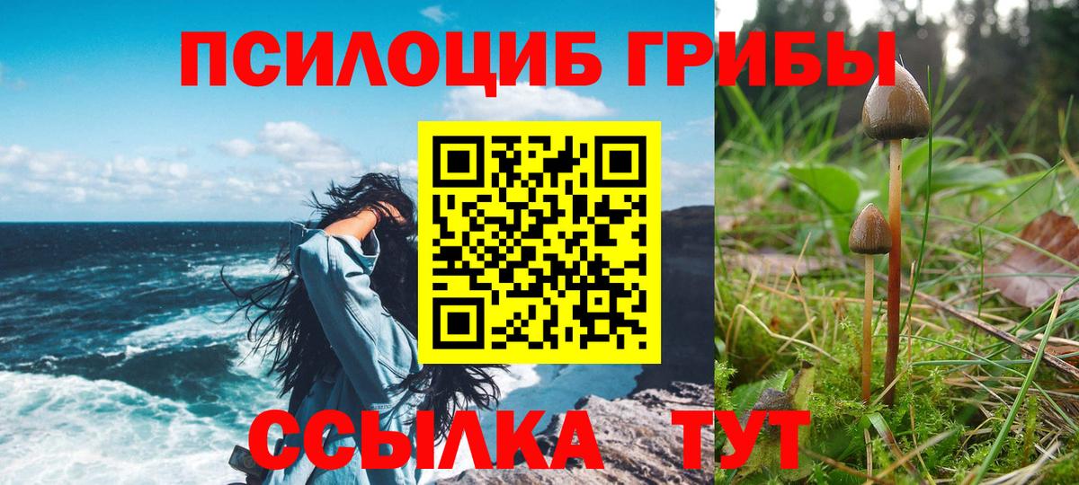 Галлюциногенные грибы Magic Shrooms  Галлюциногенные грибы прущие грибы  Вход с VPN  Дагестанские Огни 