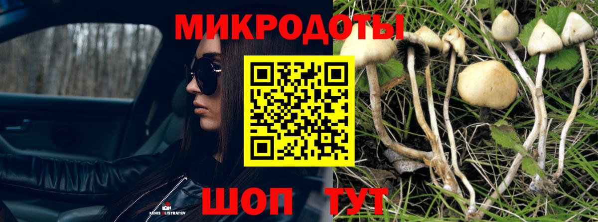 Галлюциногенные грибы мухоморы Дагестанские Огни